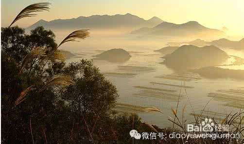 菲神十天十个小技巧 大风天垂钓小技巧