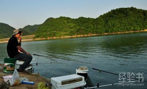 天津钓鱼网垂钓园大全 什么样的水库适合垂钓？水库钓鱼知识点大全