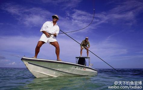 海钓鲈鱼的子线多长 海钓鲈鱼的知识