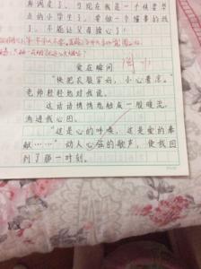 互相关爱的作文350字 关于关爱的作文350字