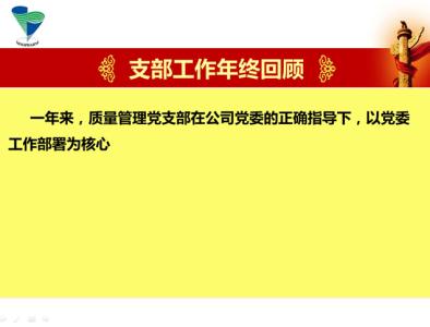 2013年党支部工作总结 公司党支部2013年工作总结