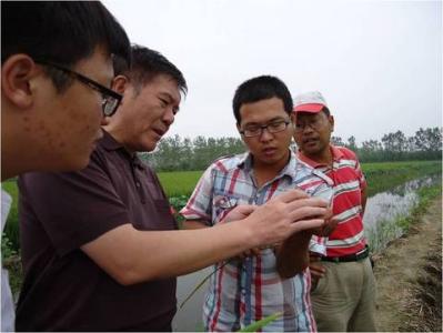 植物保护专业学生个人实习报告