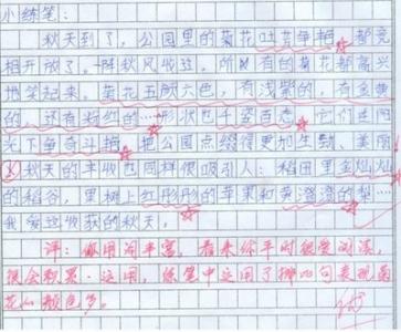 小学生作文美丽的秋天 小学生关于秋天300字作文