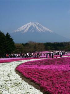 蜜月圣地推荐 2014不一样的蜜月圣地推荐