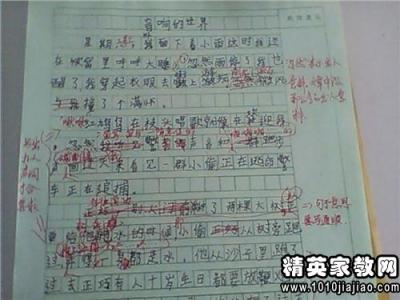 初中学生评语大全 对学生初中作文评语大全(4)