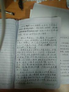 小学军训心得体会500字 军训心得体会500字