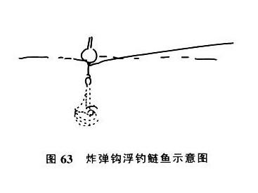 鳙鱼和鲢鱼的区别 炸弹钩浮钓鲢鱼、鳙鱼的方法