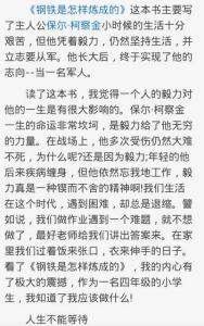 钢铁是怎样炼成读后感 关于钢铁是怎样炼成的读后感1000字