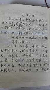 证婚词八篇 三年级作文：小鬼当家300字 八篇