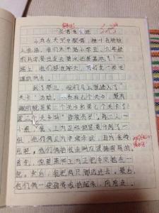 辩论赛策划书六篇 三年级作文：我得到了教训300字 六篇