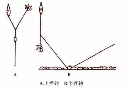 鲢鱼钓法 钓鲢鱼钓点与时间的选择