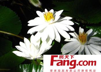 白露节气 适合白露节气的食谱