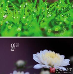 白露节气 白露节气食物