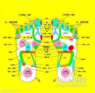 按摩什么穴位补肾 按摩什么穴位补肾？补肾的6个穴位