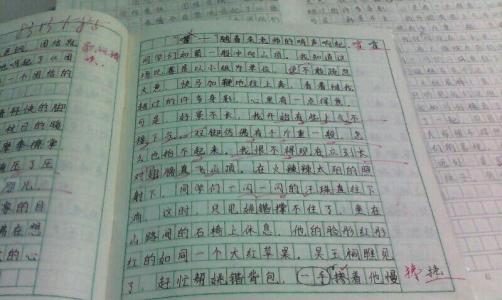 辩论赛策划书六篇 初二作文：秋游作文700字 六篇