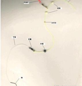 鲳鳊鱼有没有鱼线 钓鳊鱼选择鱼线、鱼钩、钓竿的方法