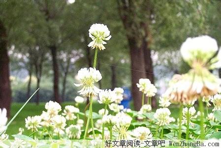 提高免疫力的药物 提高你修养的100句话