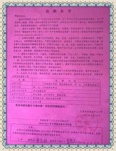 小学寒假告家长书 小学2015年寒假生活告家长书