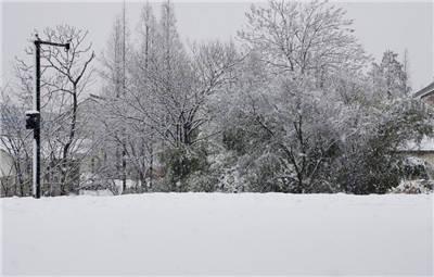 下雪心情短语 关于下雪的心情短语