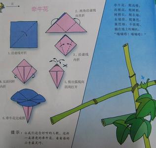 牵牛花的折法图解 牵牛花的折法