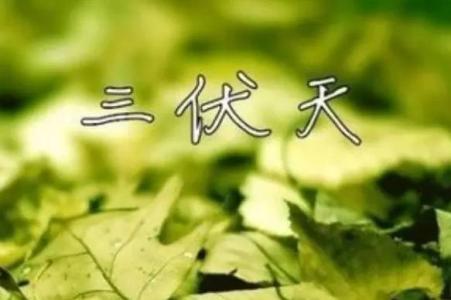 三九天是什么 三伏天是什么