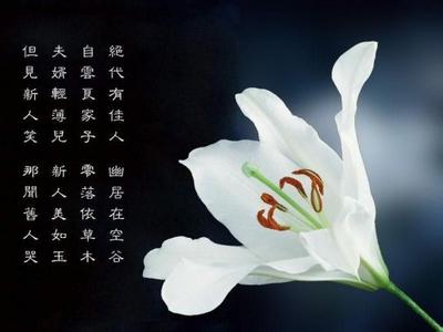 花语大全：棕榈的花语