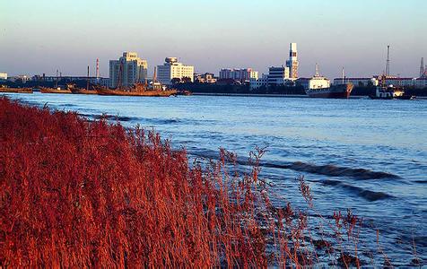 辽宁旅游区 辽宁营口红海旅游区