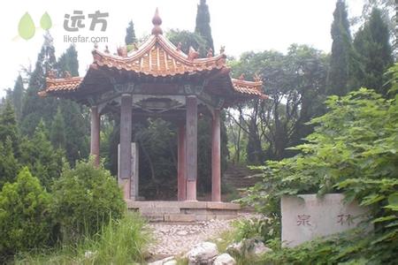 山东旅游景点介绍 山东泉林的景点介绍