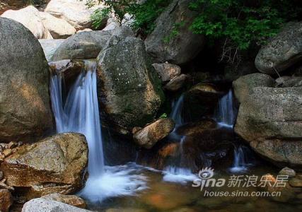 祖山原始森林峡谷 祖山原始森林峡谷的景点介绍