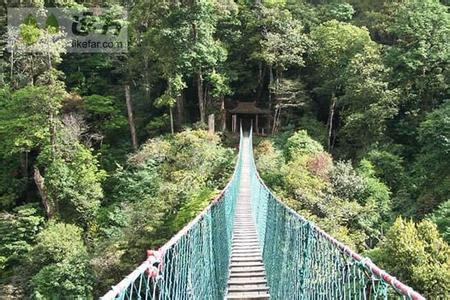 屏边大围山 屏边大围山的景点介绍