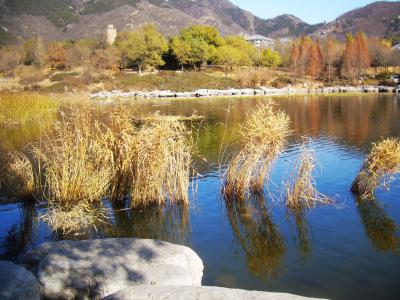 静福寺 静福寺的景点介绍