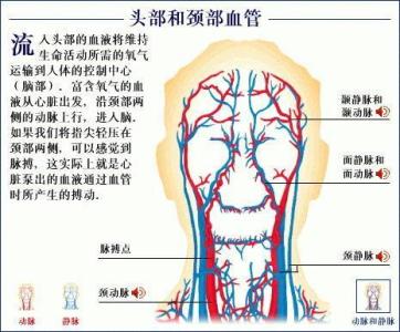 脑供血不足的病因 脑供血不足的病因及症状