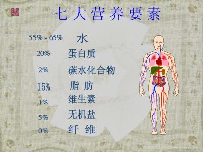 不可缺少的 英文 人体不可缺少的营养素