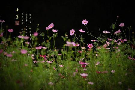 二十四节气食俗 小暑节气的民间食俗