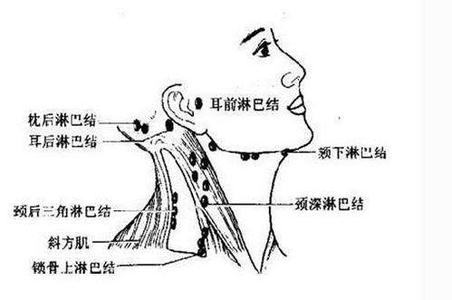 住院患者压疮发生率 长疮的患者别吃发性食物