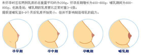 怀孕如何护理乳房视频 怀孕乳房要怎么护理