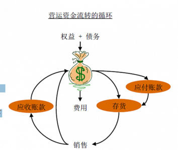 种子的力量有多大 种子资金我们如何获得价值有多大