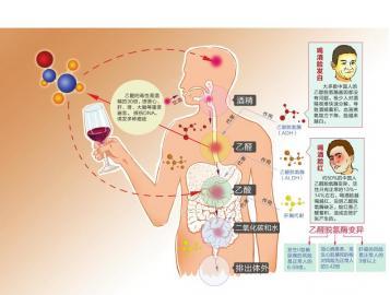 酒量脸红可以练出来吗 关于酒量与脸红，脸白的科学解释