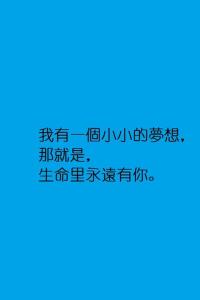 你不会遇见第二个我 我不会再遇见第二个你