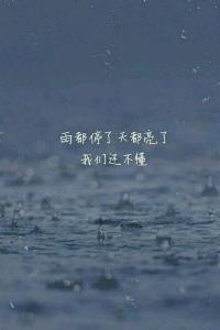 所有的雨都会停的作文 所有的雨都会停的