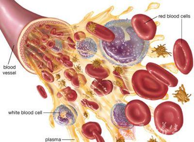 血友病和白血病的区别 血友病是什么病