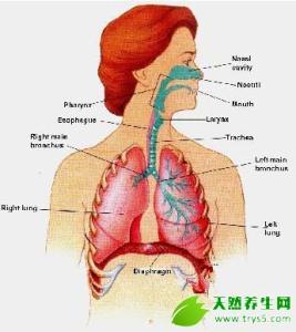 唱歌声音放不开 唱歌的技巧和发声方法