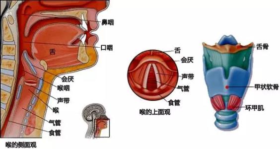 新手学唱歌技巧 唱歌技巧