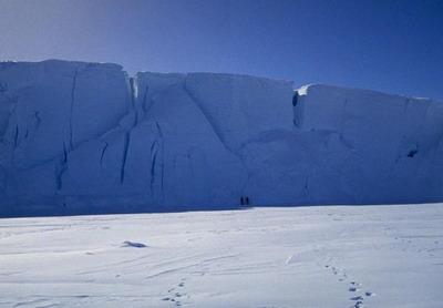 地球上什么动物最大 地球上最大的冰库