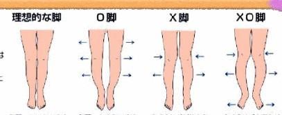 男生标准腿型 标准腿型