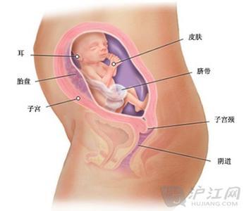 孕六个月如何辨别性别 如何从胎动分辨男女