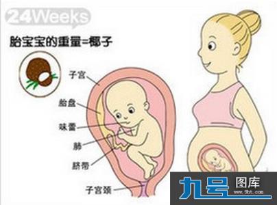 孕晚期羊水指数标准 羊水指数正常范围