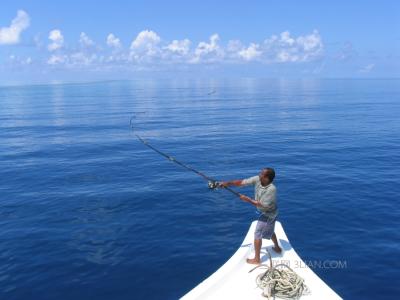 深秋钓鱼技巧 深秋钓鱼的6个技巧经验