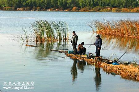 深秋能钓鱼吗 深秋时怎么钓鱼