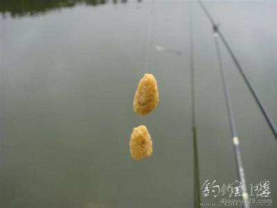 金龙鱼饵开大毛打窝来 夏季钓鲫鱼怎样搭配鱼饵及如何打窝